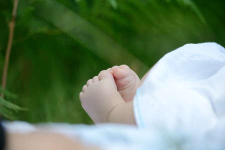 Newborn baby feet in nature on green grassの写真素材