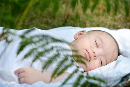 Baby sleeping on green grass outdoor in natureの写真素材