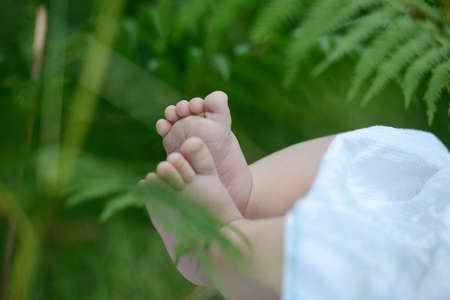 Newborn baby feet in nature on green grassの写真素材