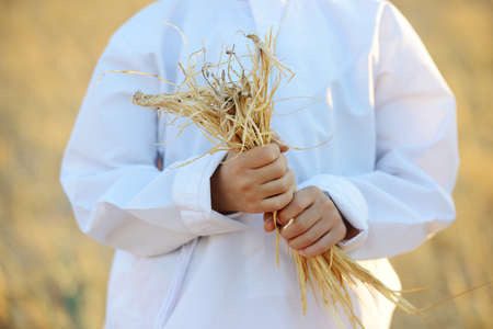 Kids on wheat fieldの写真素材
