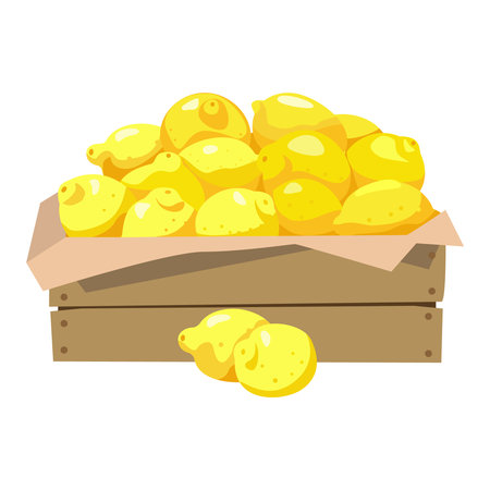 Lemons in a wooden box. Vector illustration. Isolated on white background.のイラスト素材