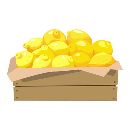 Lemons in a wooden box. Vector illustration. Isolated on white background.のイラスト素材