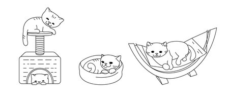 Set of vector outline illustrations. Beds for cats. Isolated on white backgroundのイラスト素材
