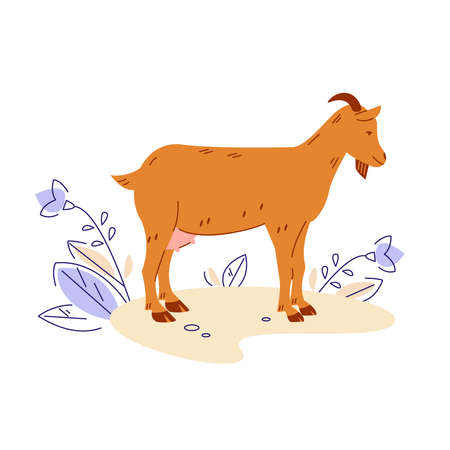 Goat. Vector illustration in flat cartoon style.のイラスト素材