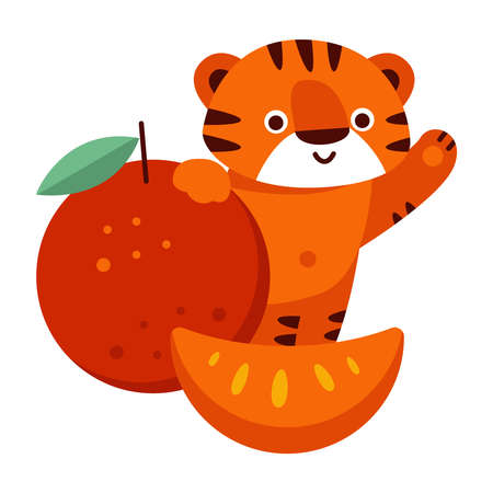 Tiger with tangerine. Vector illustration in cartoon style. Isolated on a white background.のイラスト素材