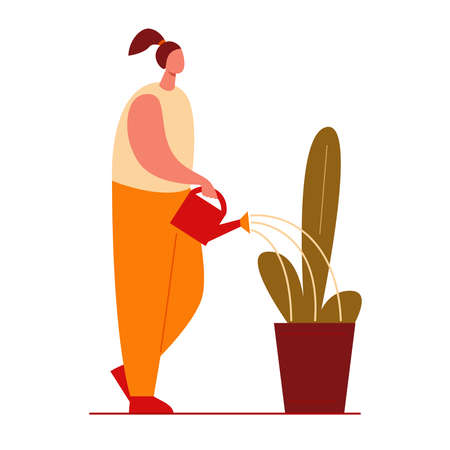 A woman waters a plant in a flower pot from a watering can. Vector illustration in flat style.のイラスト素材