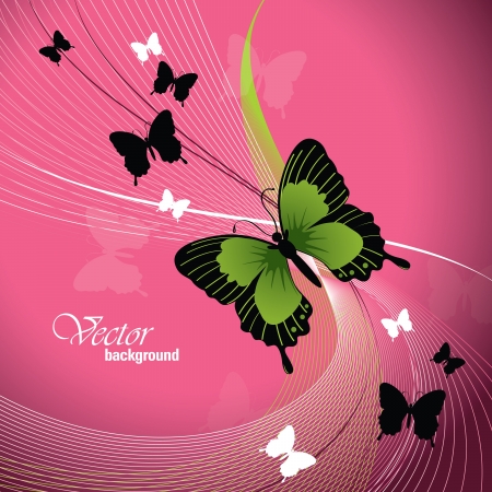 Vector Design With Butterflies のイラスト素材
