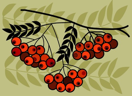 tree branch with red fruits on green backgroundのイラスト素材