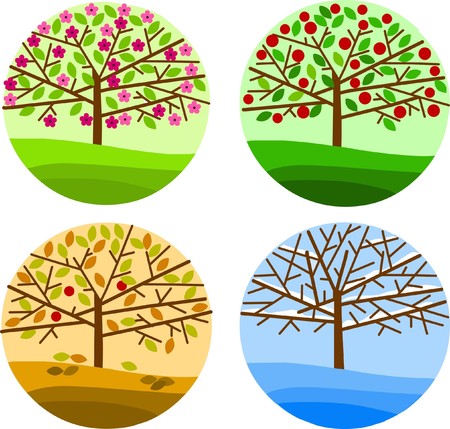 four trees respesenting four seasons のイラスト素材
