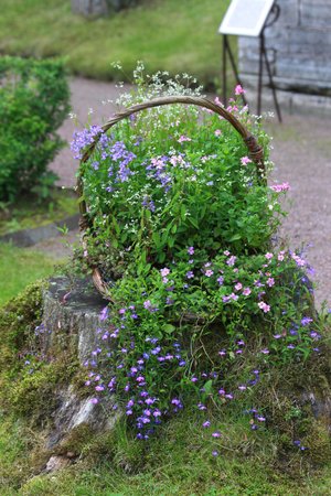 garden flowersの写真素材