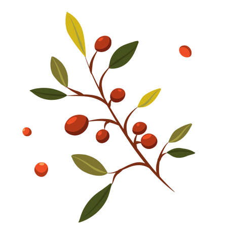 Seamless pattern background vector illustration of branches with leaves berries for decorationのイラスト素材