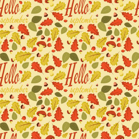 hello september autumn pattern vector background oak leaves, mushroomsのイラスト素材