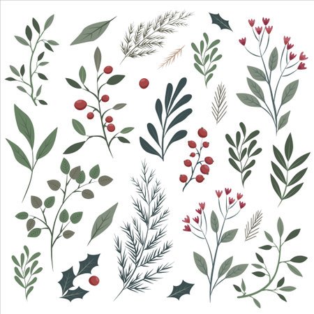 set vector illustration of branches with leaves and berries for decorationのイラスト素材