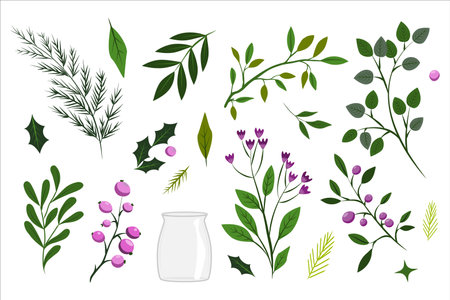 flower on white background Elements are isolated on a white background. Design for printing on cards, invitationsのイラスト素材
