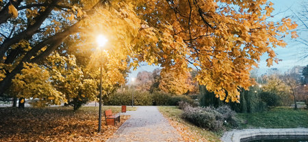 Autumn stroll along a park pathway with vibrant leaves and evening lightsの写真素材