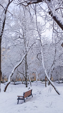 Snow-covered park bench under trees in a winter landscape during daytimeの写真素材