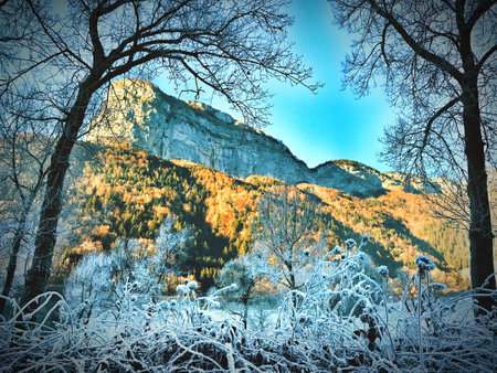 Winter in La Balme de Thuyの素材