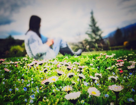 Maisie in the Daisies