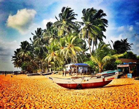 Tropical beach Sri Lankaの素材
