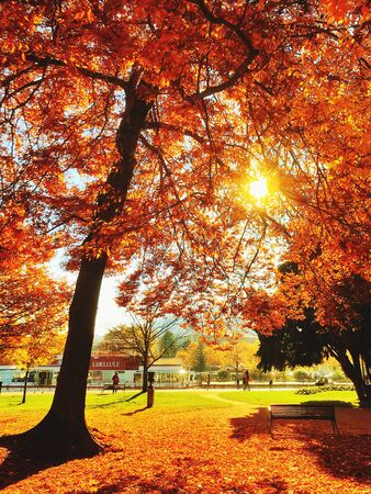 Autumn in Annecyの写真素材