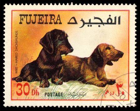 FUJEIRA - CIRCA 1980: Postage stamp printed in Fujeira showing dog dachshunds, circa 1972のeditorial素材