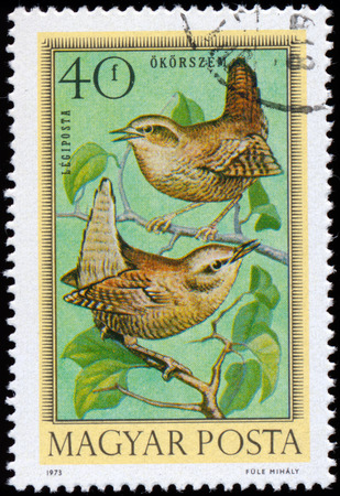 HUNGARY - CIRCA 1973  Postage stamp printed in Hungary showing Wrens, Birds, circa 1973のeditorial素材
