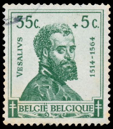 BELGIUM CIRCA 1942: A stamp printed in Belgium shows Vesalius (1514-1564), circa 1942 のeditorial素材