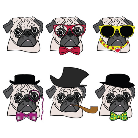 Pugs hipsters presented with vary accessories ( hats , glasses, monocle, tie bow)のイラスト素材