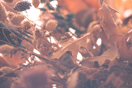 colorful flowers with yellow backgroundの写真素材