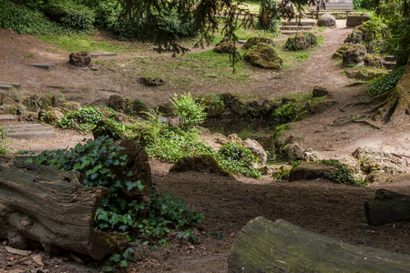 Beautiful park scene in public park with green grass field and green tree plantの写真素材