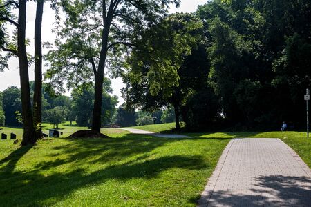 Beautiful park scene in public park with green grass field and green tree plant
