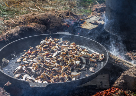 Finely chopped mushrooms fried in a pan on the fire. Outdoorの写真素材