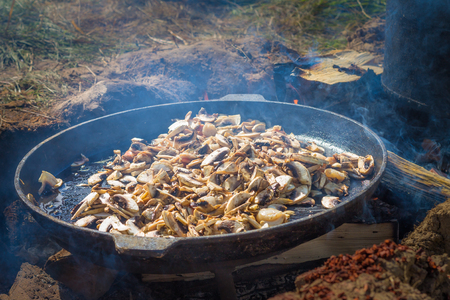 Finely chopped mushrooms fried in a pan on the fire camp. Outdoorの写真素材
