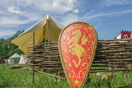 Red knight's shield with family coat of arms on grass on the nature.の写真素材