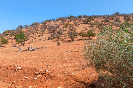 Landscape in North Africa on a hot sunny day.の写真素材