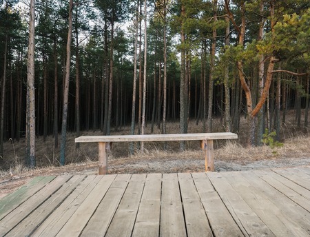 Summer landscape with bench and wood flooring. in front of forestの写真素材
