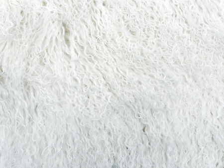 White long hair fur for background or texture. Natural snow-white dressed fur.の写真素材