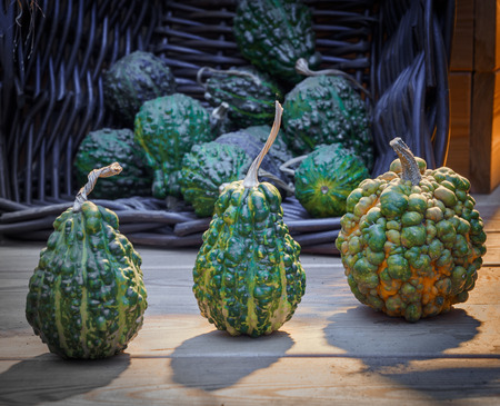 Assorted pumpkins on wooden boards with an shinning backdropの写真素材