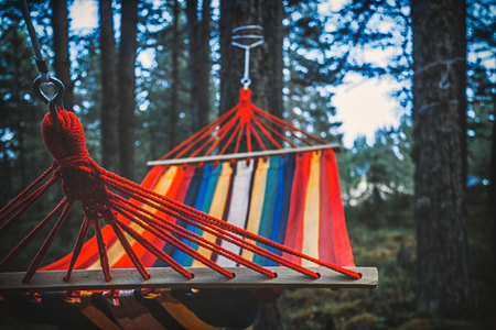 Colorful hammock hanging in the forest. Selective focusの写真素材