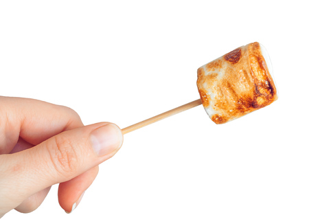 roasted marshmallows on a skewer on white backgroundの写真素材