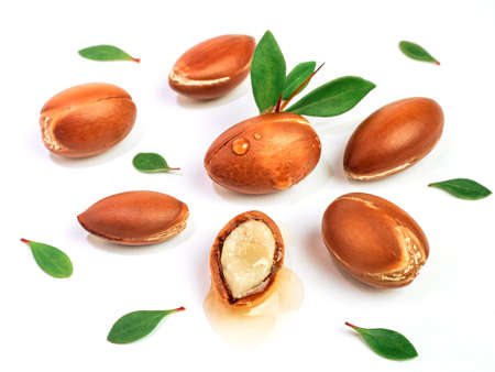 Argan nuts with green leaves on an isolated white background. Chopped argan nut with a drop of oil. Whole and half Moroccan Argania Spinosa seeds for the production of oilの写真素材