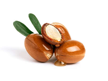 Three argan nuts with green leaves on an isolated white background. Chopped argan nut with a drop of oil. Whole and half Moroccan Argania Spinosa seeds for the production of oilの写真素材