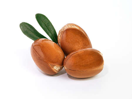 Moroccan Argan nuts with green leaves on white isolated background. Argan seeds, for the production of oilの写真素材