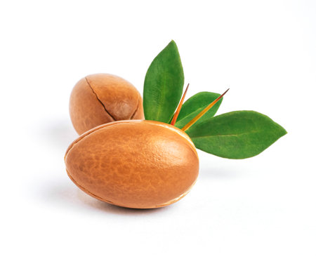 Argan nuts with green leaves on isolated white background. Moroccan Argania Spinosa seeds for the production of oilの写真素材