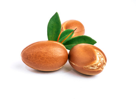 Argan nuts with green leaves on isolated white background. Moroccan Argania Spinosa seeds for the production of oilの写真素材