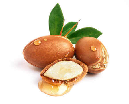 Argan nuts with green leaves on isolated white background. Moroccan Argania Spinosa seeds for the production of oilの写真素材