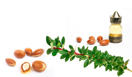Cosmetic means: authentics oriental bottles with cosmetic oil, argan nuts and green leaves of argania spinosa tree on isolated background.の写真素材