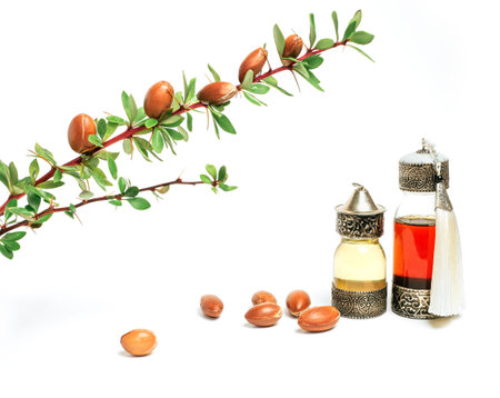 Cosmetic means: authentics oriental bottles with cosmetic oil, argan nuts and green leaves of argania spinosa tree on isolated background.の写真素材