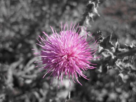 Colorsの写真素材
