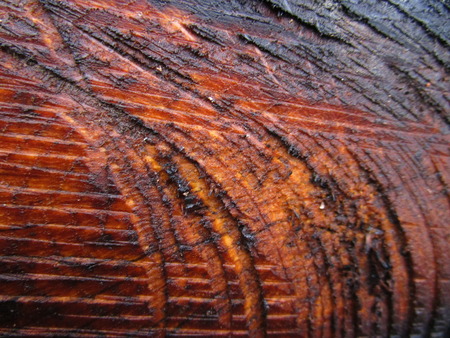 burning woodの写真素材